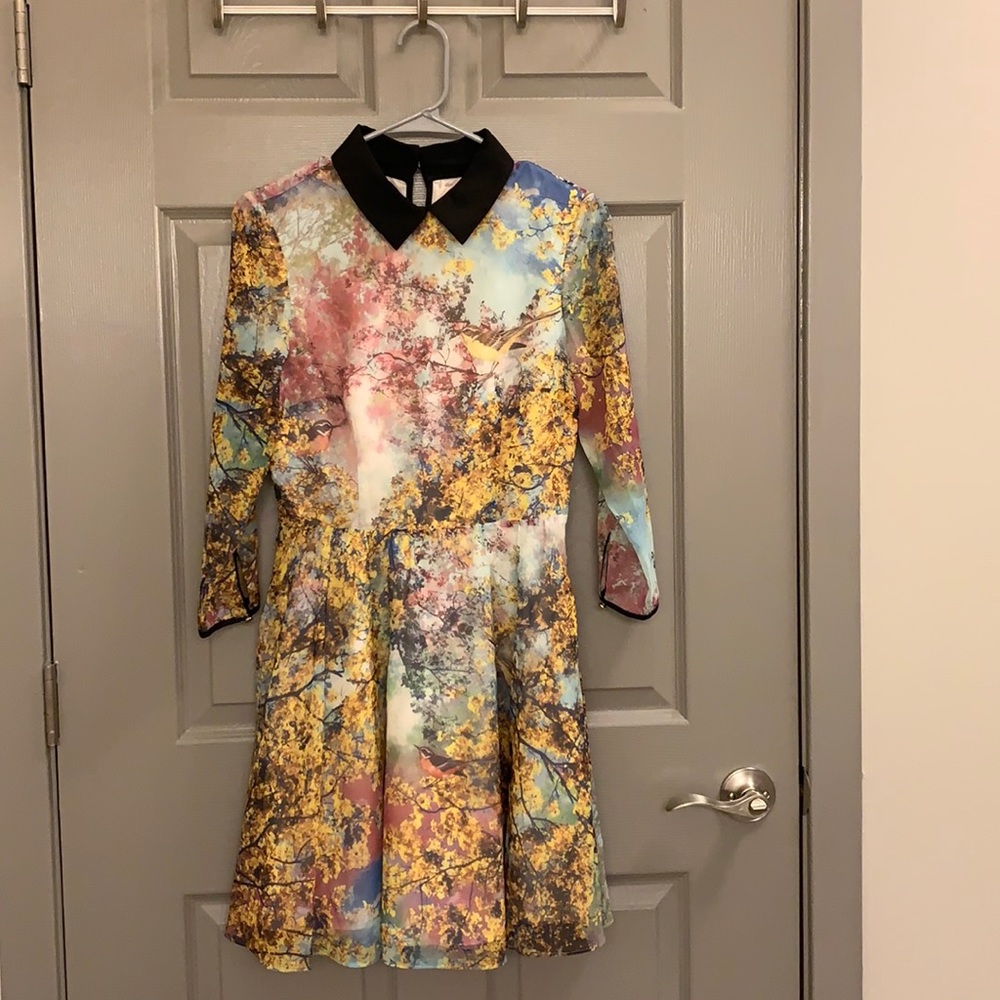 Ted Baker Collar Dress